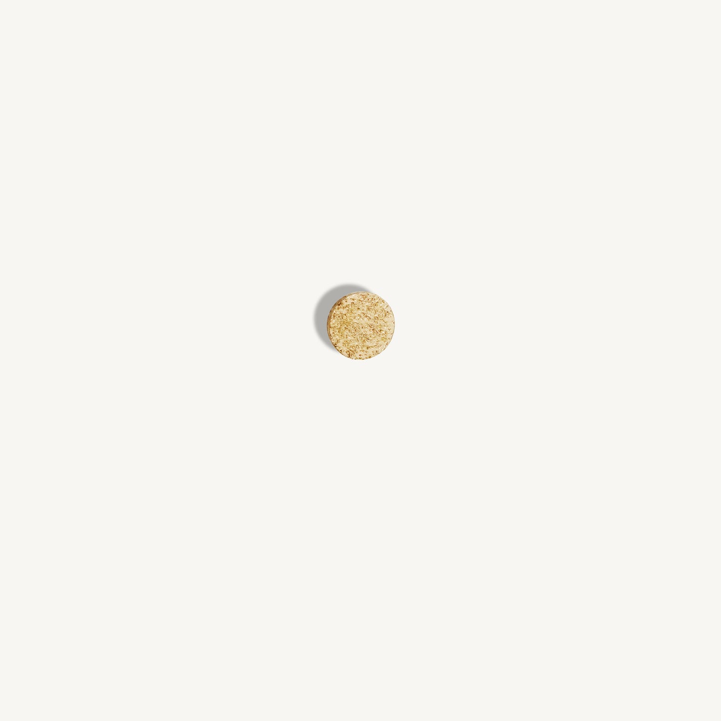 Hammered 14k Yellow Gold Stud Earrings