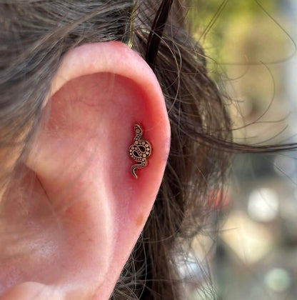 Tarot Gold and Enamel Studs