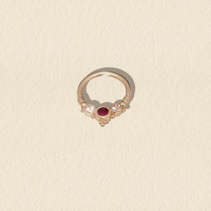 14k Yellow Gold and Ruby Seam Ring